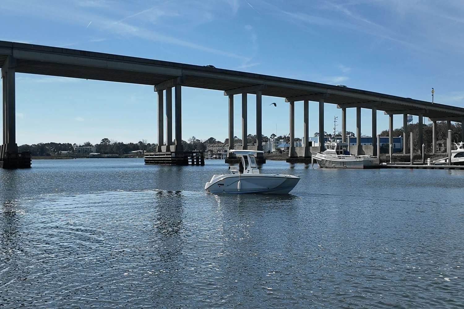 2025 Yamaha 222 FSH Sport Image Thumbnail #2