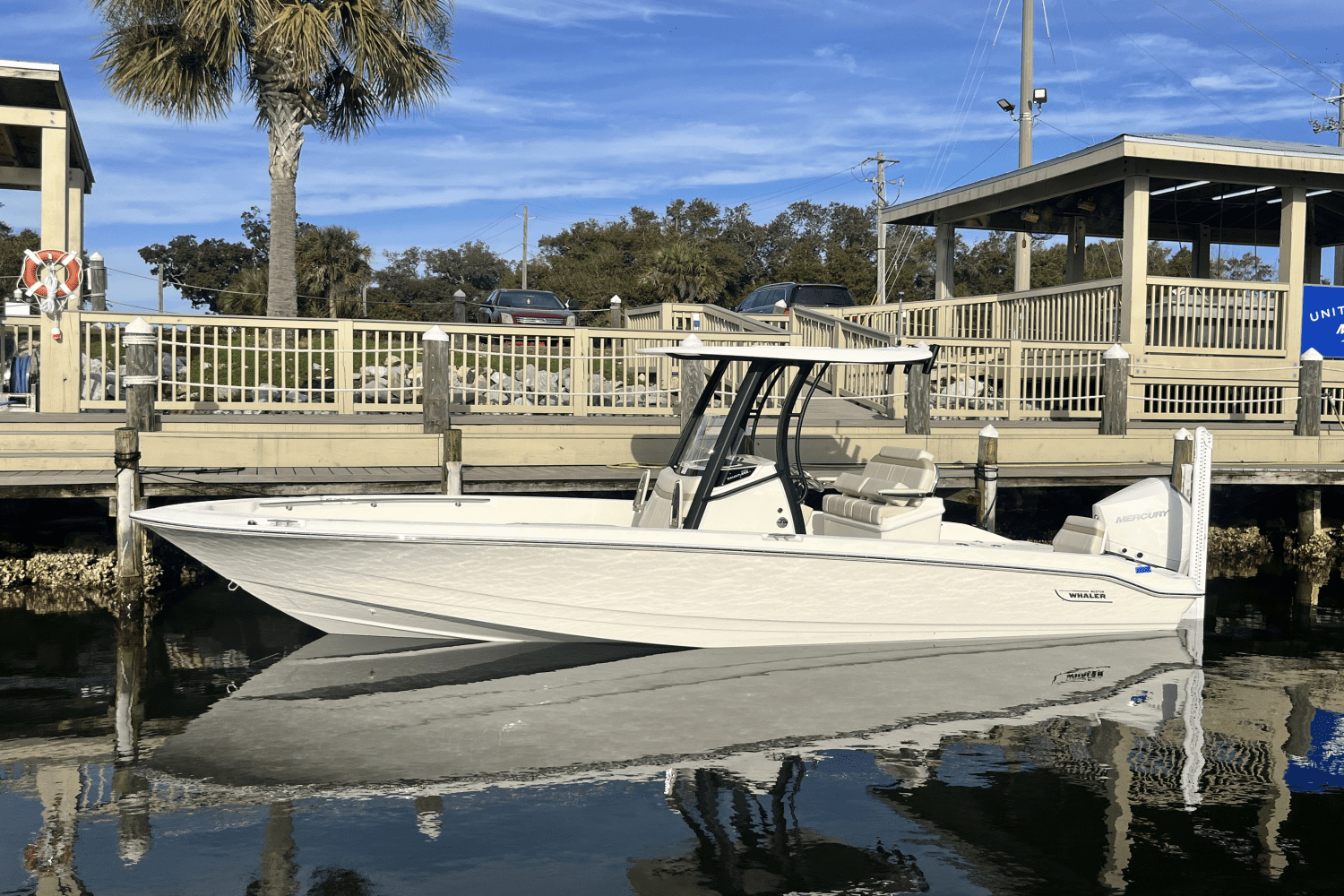 2025 Boston Whaler 250 Dauntless Image Thumbnail #1