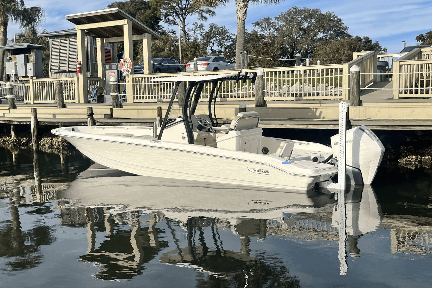 2025 Boston Whaler 250 Dauntless Image Thumbnail #4