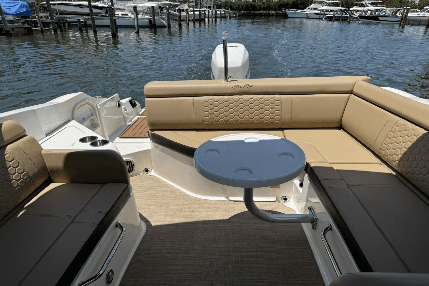 2018 Sea Ray SDX 270 Outboard Image Thumbnail #14