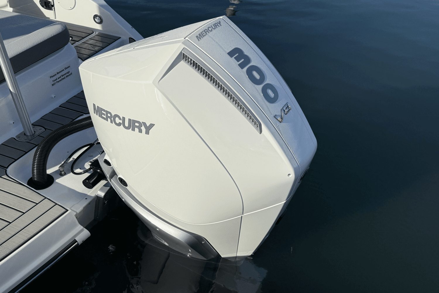 2025 Sea Ray SDX 250 Outboard Image Thumbnail #6