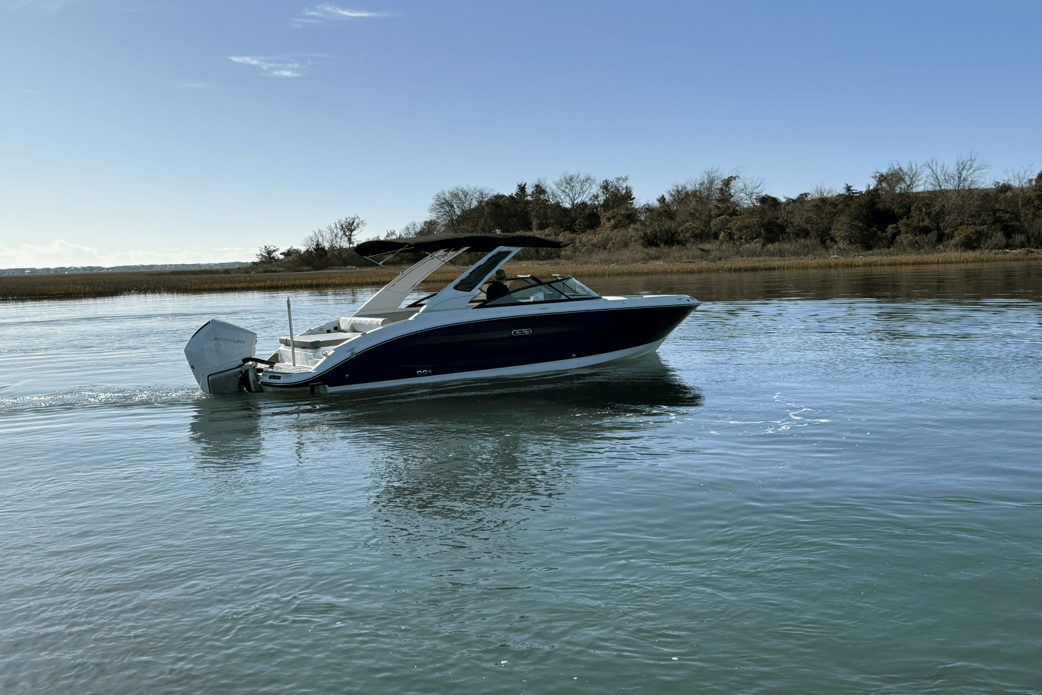 2025 Sea Ray SDX 250 Outboard Image Thumbnail #4