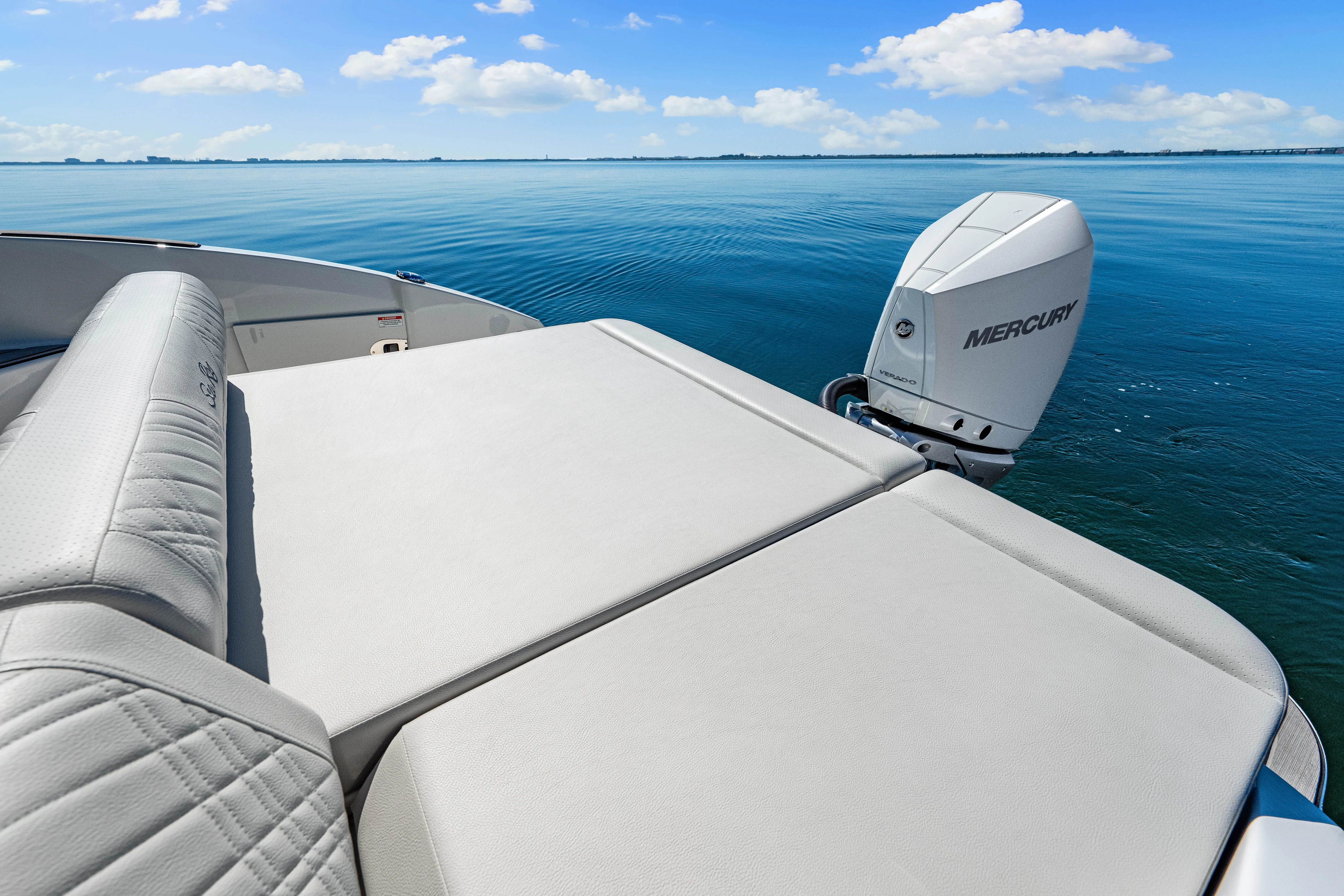 2025 Sea Ray SDX 270 Outboard Image Thumbnail #27