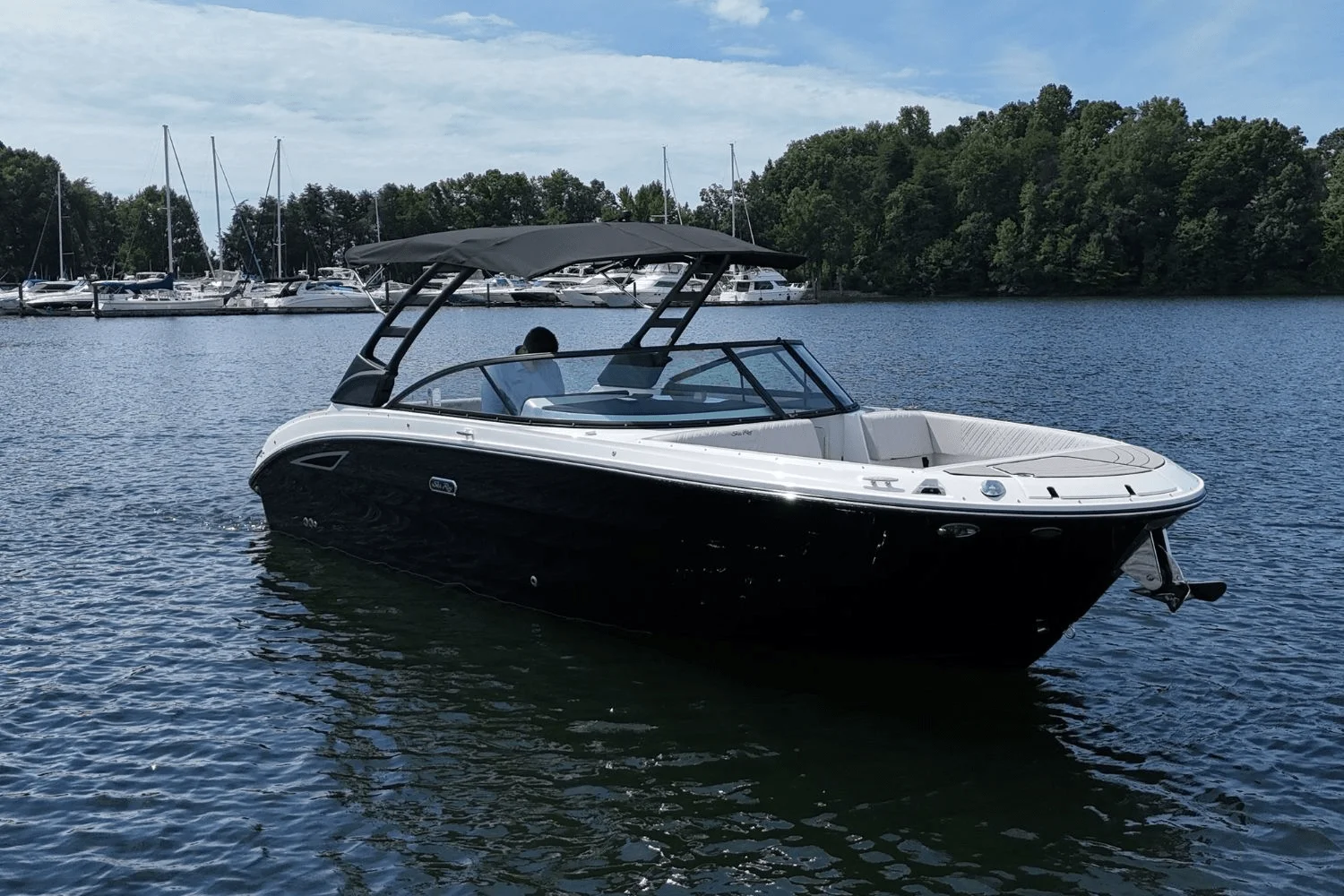 2025 Sea Ray SDX 270 Image Thumbnail #2