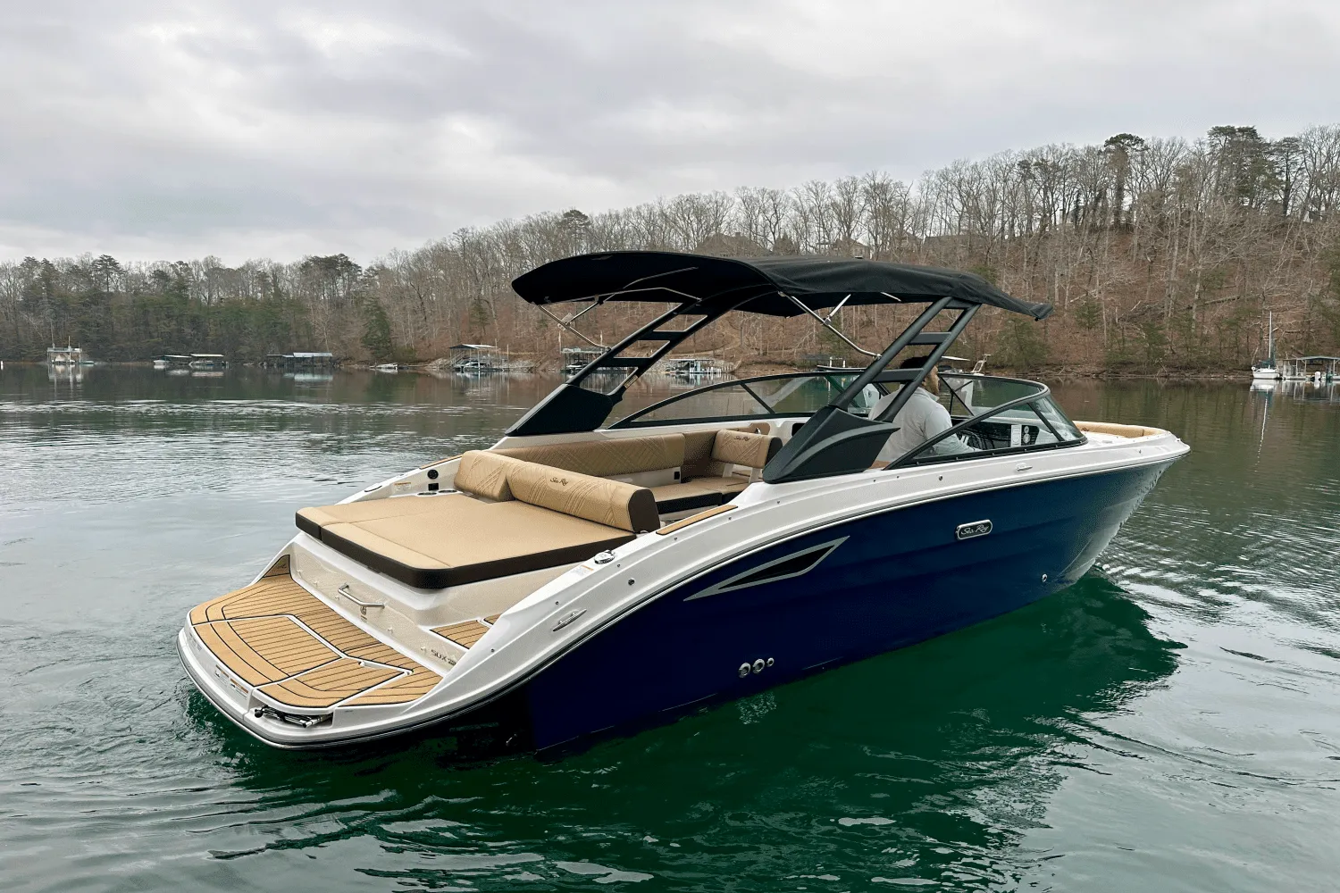 2025 Sea Ray 250 SDX Image Thumbnail #3