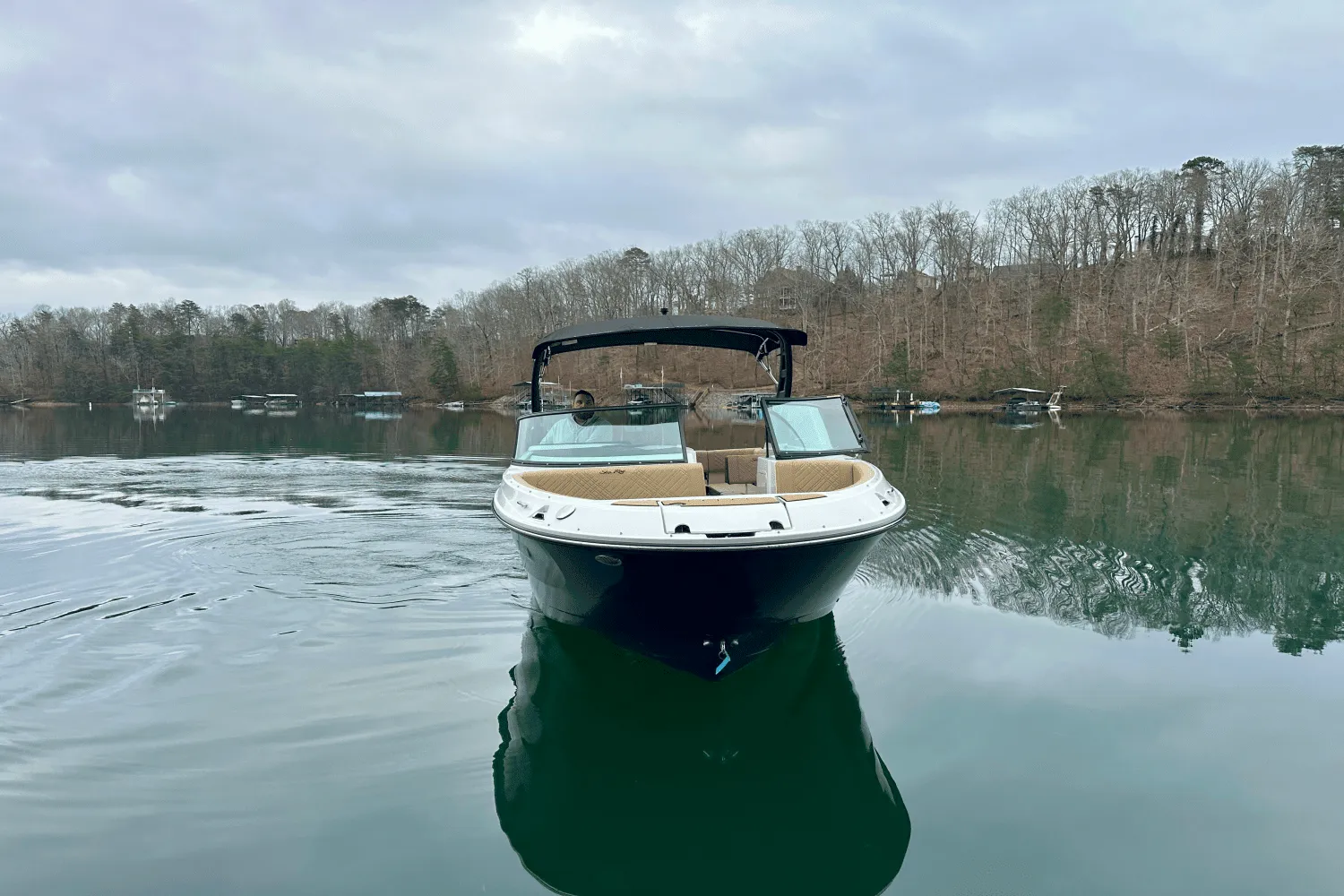 2025 Sea Ray 250 SDX Image Thumbnail #5