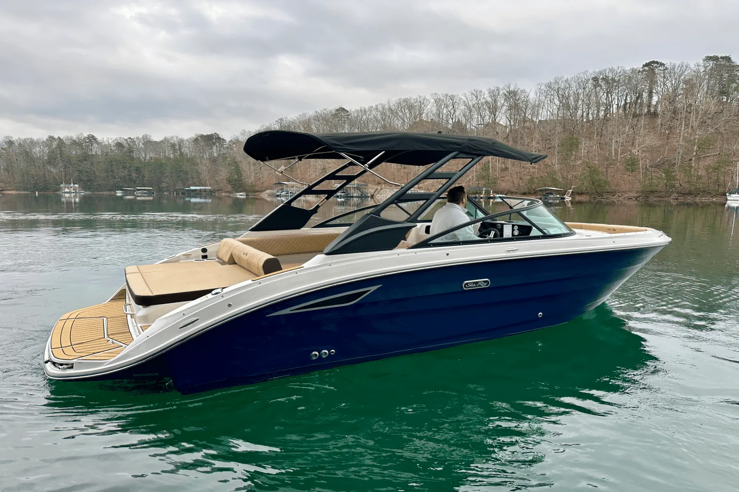 2025 Sea Ray 250 SDX Image Thumbnail #4