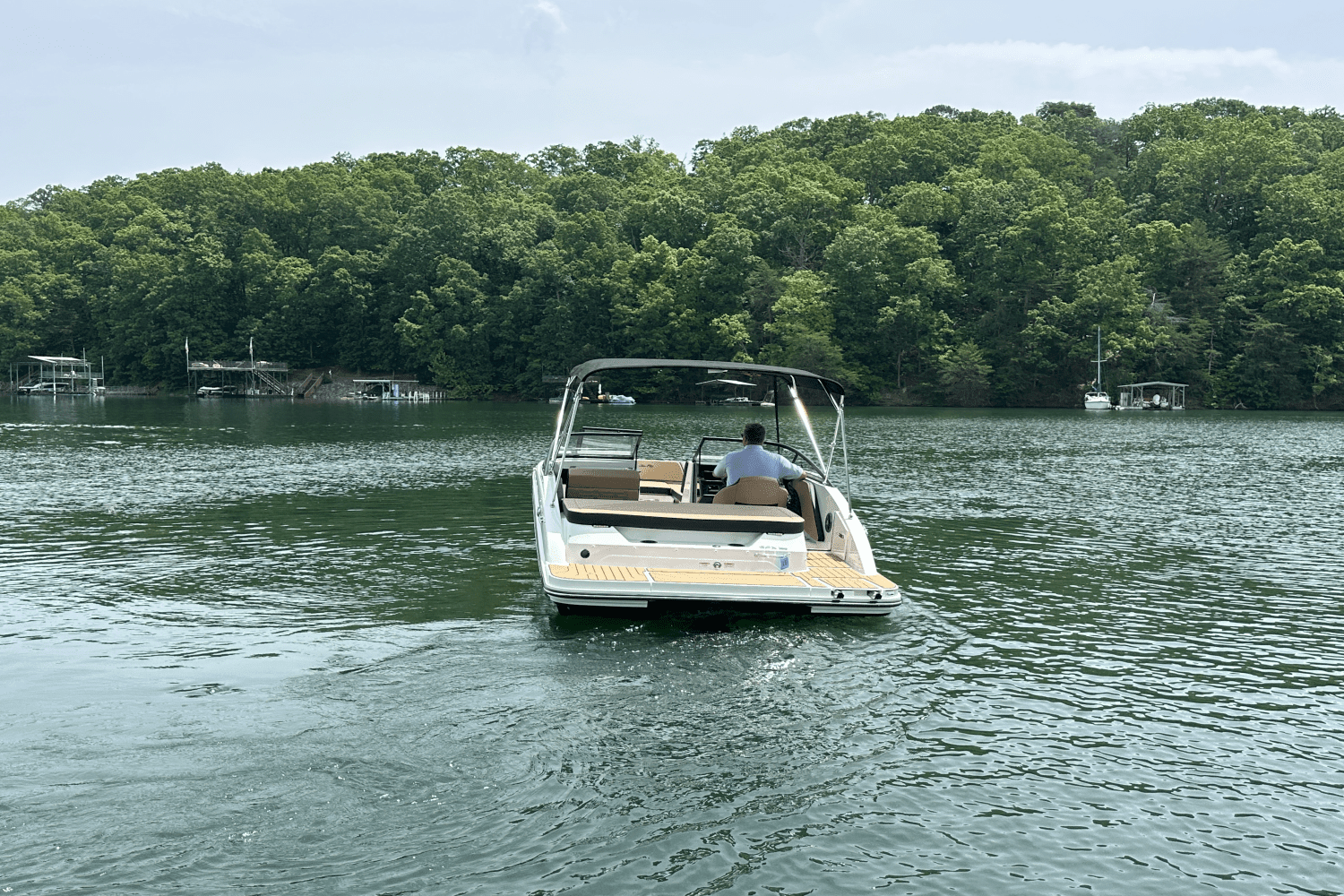 2025 Sea Ray SPX 190 Image Thumbnail #8