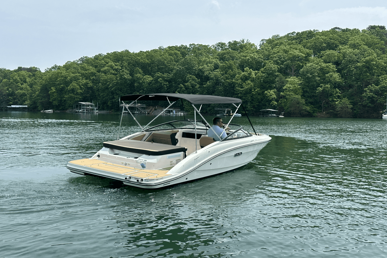 2025 Sea Ray SPX 190 Image Thumbnail #7