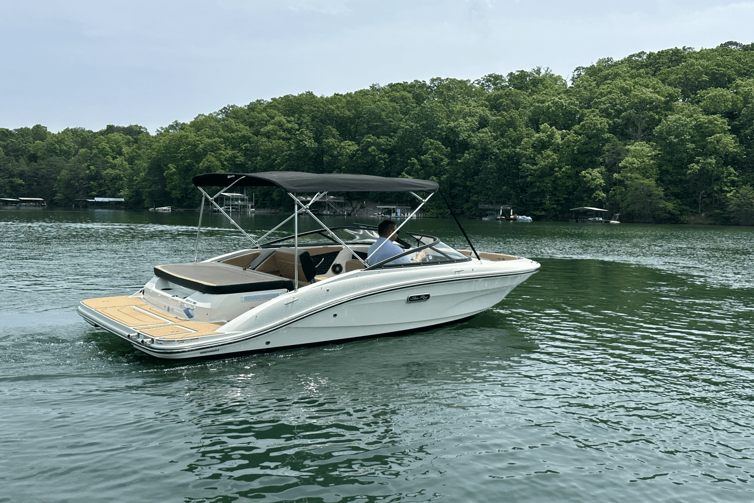 2025 Sea Ray SPX 190 Image Thumbnail #6