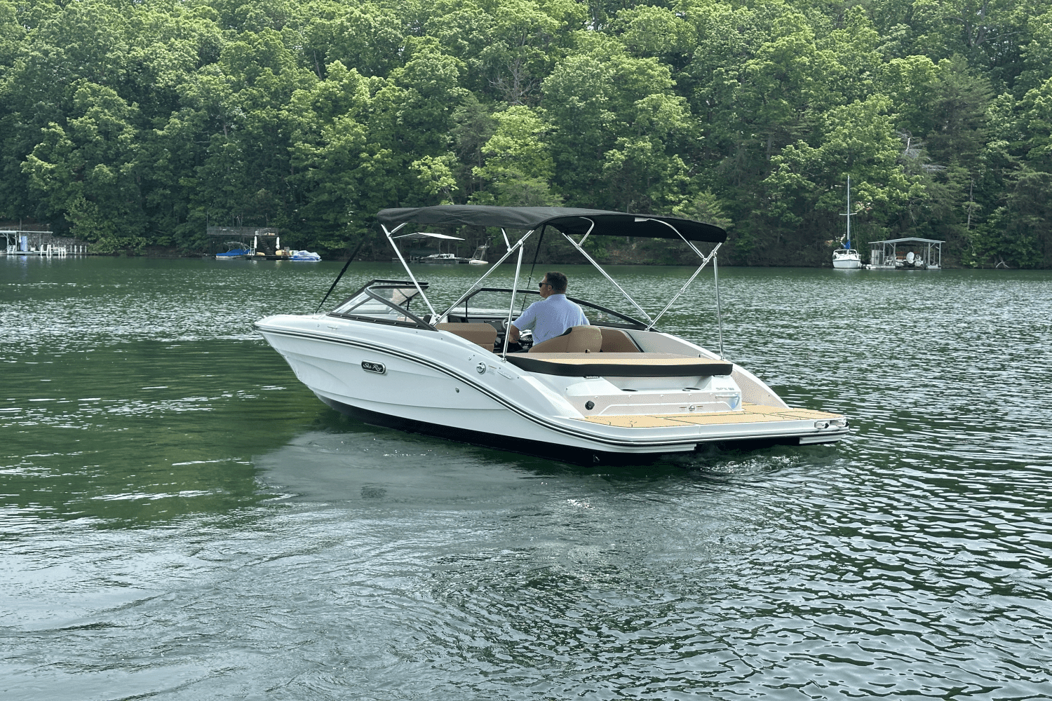 2025 Sea Ray SPX 190 Image Thumbnail #10