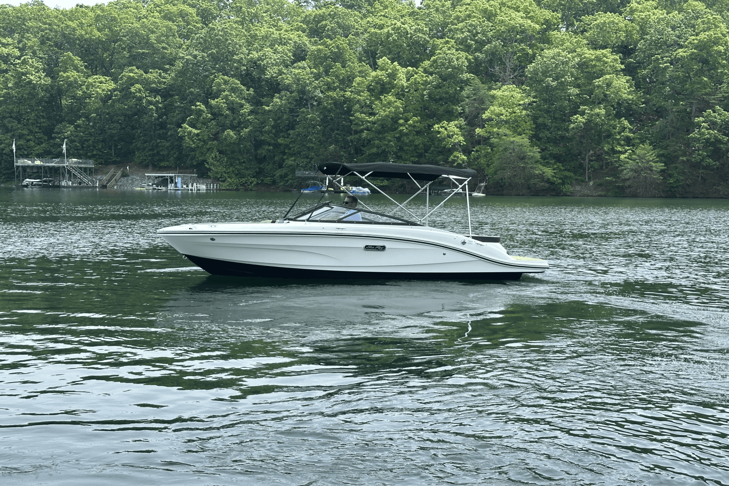 2025 Sea Ray SPX 190 Image Thumbnail #1