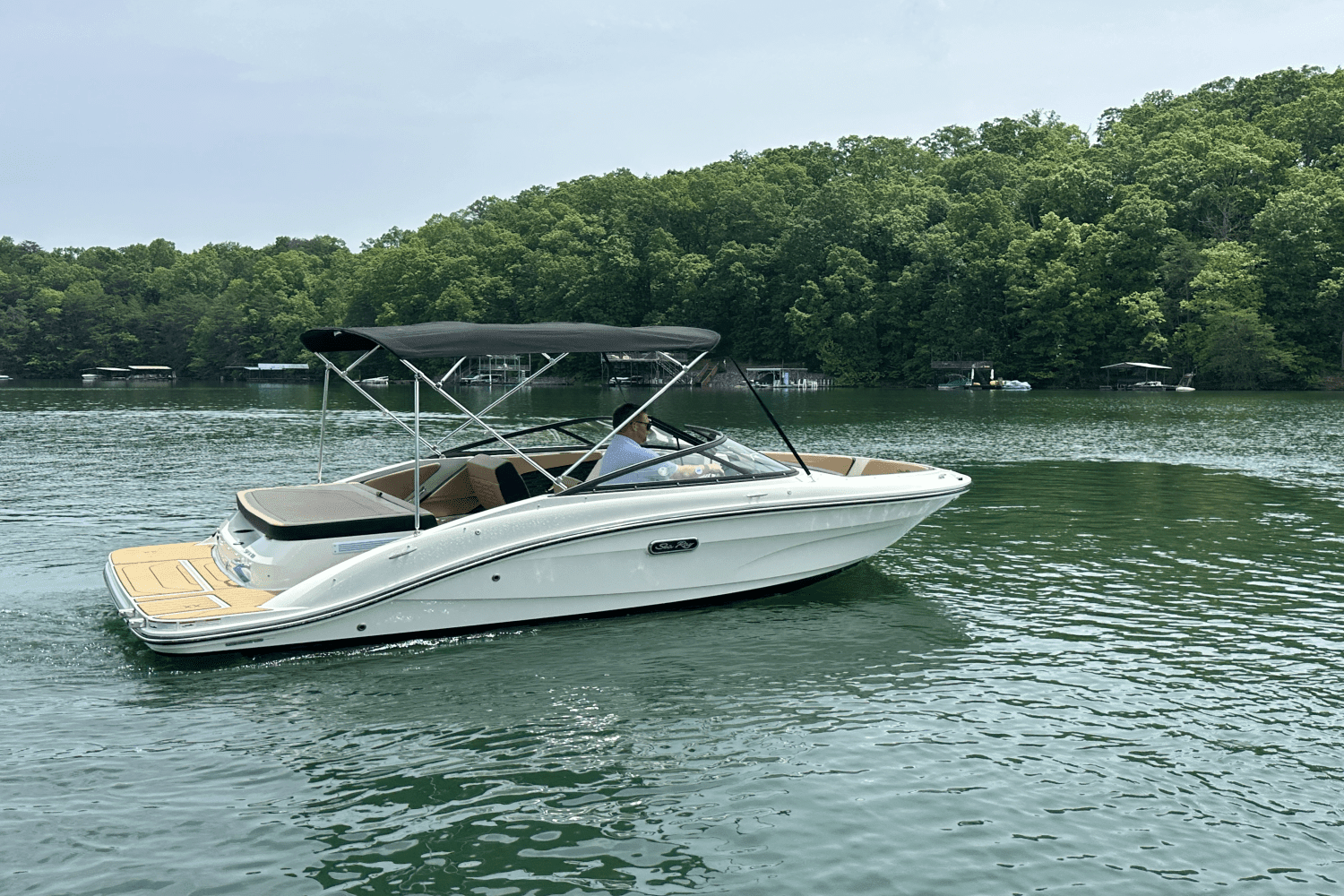 2025 Sea Ray SPX 190 Image Thumbnail #5