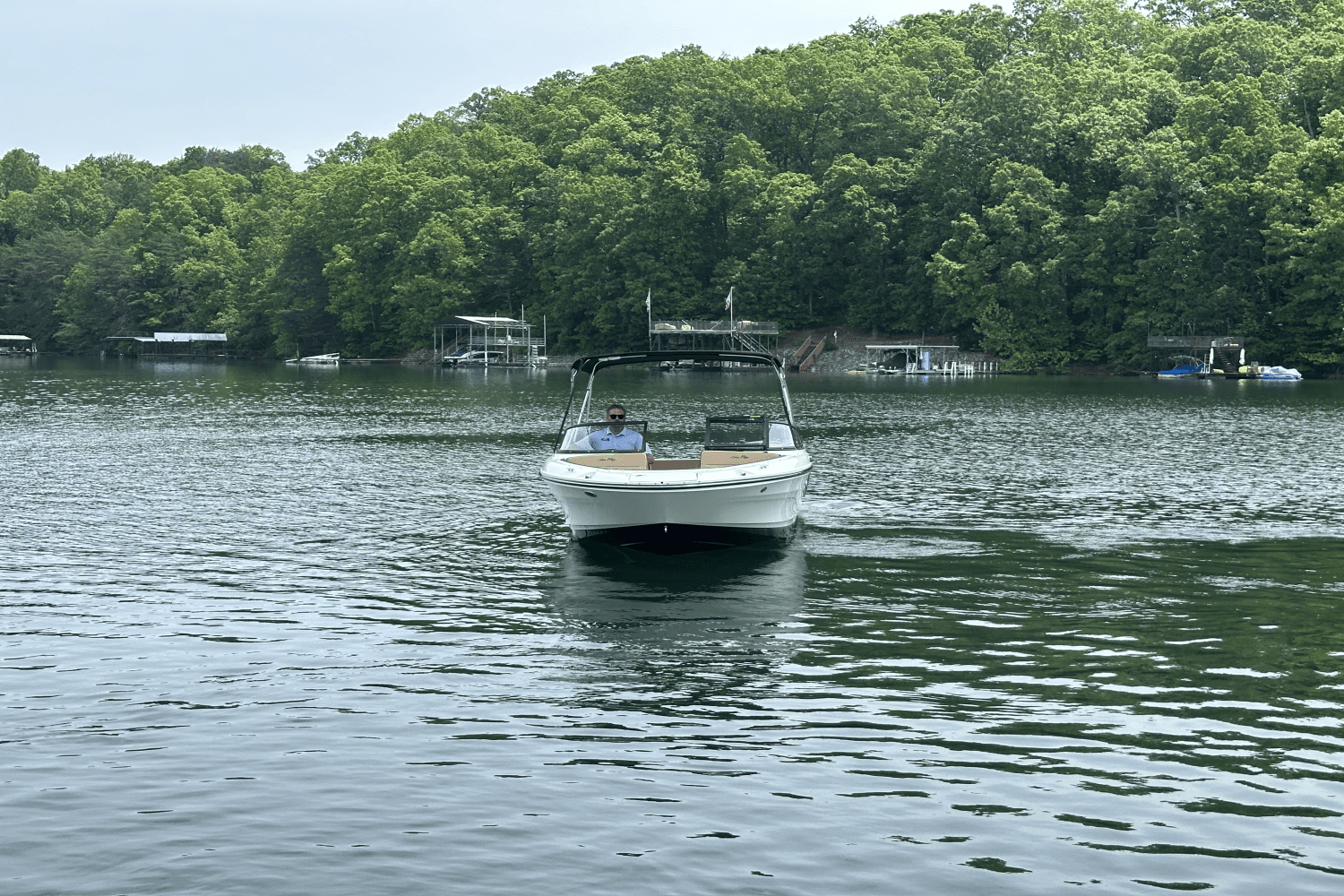 2025 Sea Ray SPX 190 Image Thumbnail #4