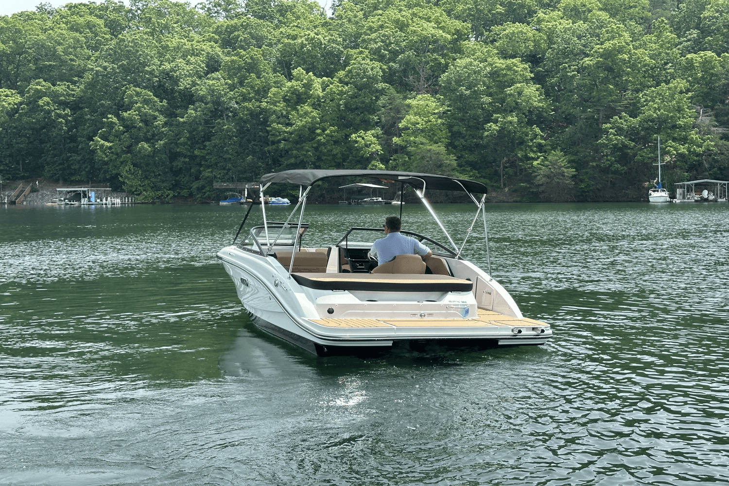 2025 Sea Ray SPX 190 Image Thumbnail #9