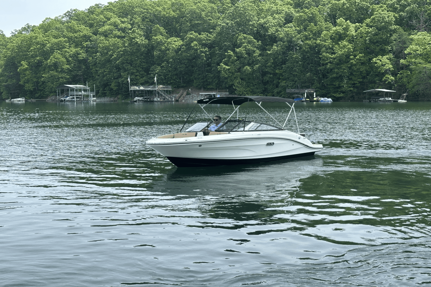 2025 Sea Ray SPX 190 Image Thumbnail #2