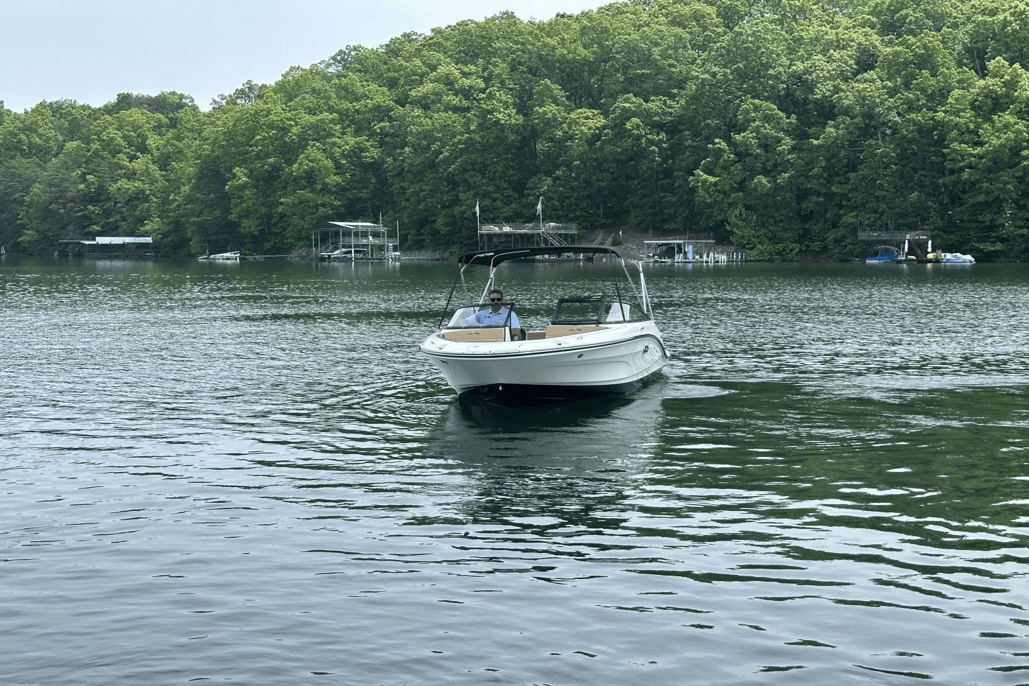 2025 Sea Ray SPX 190 Image Thumbnail #3