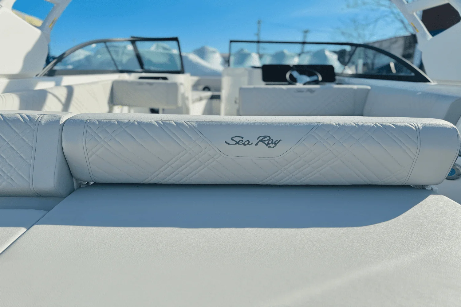 2025 Sea Ray 250 SDX Image Thumbnail #10