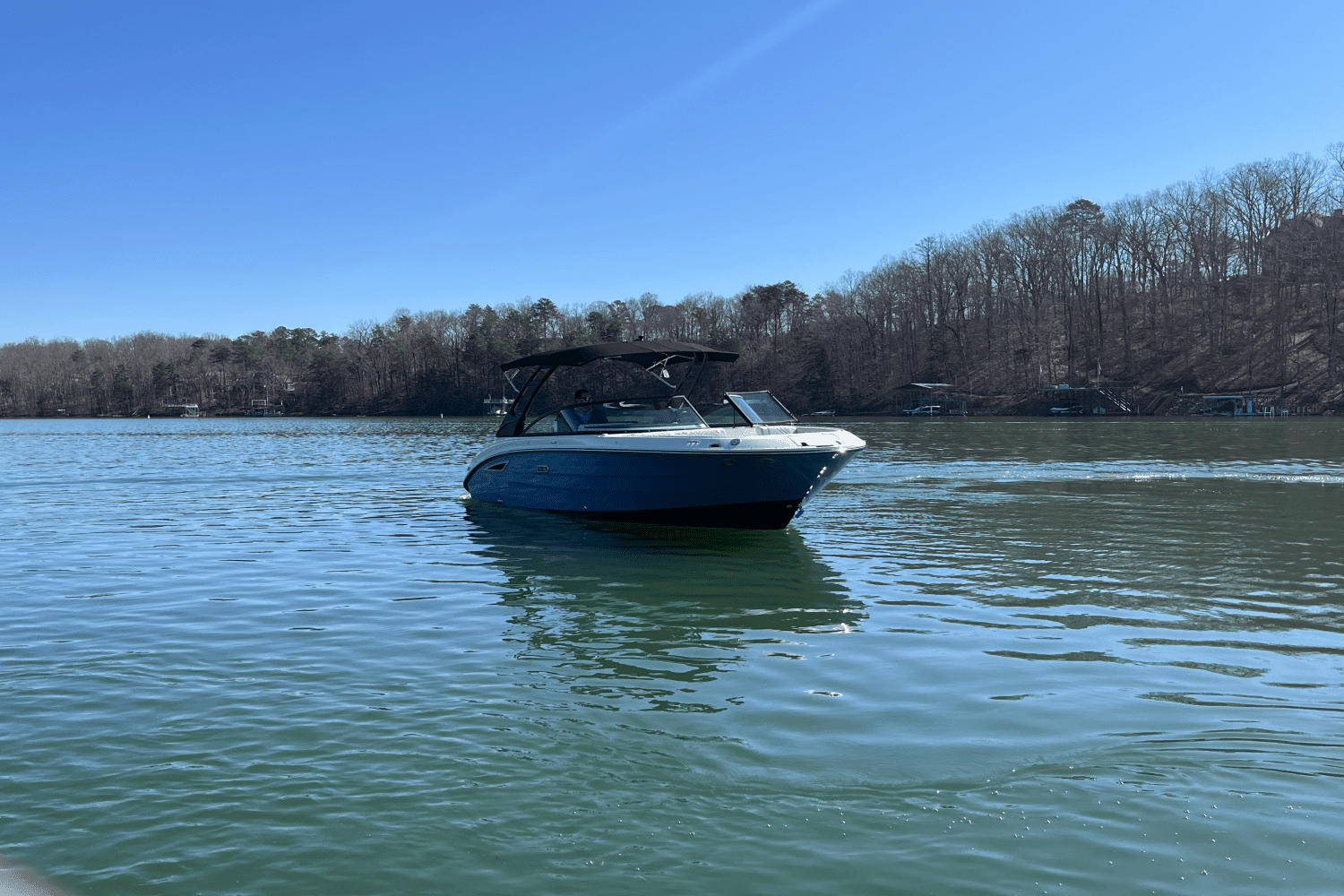 2025 Sea Ray 250 SDX Image Thumbnail #5