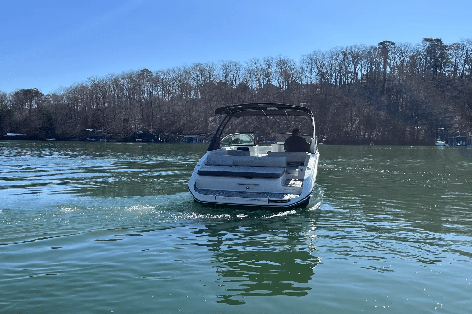 2025 Sea Ray 250 SDX Image Thumbnail #11