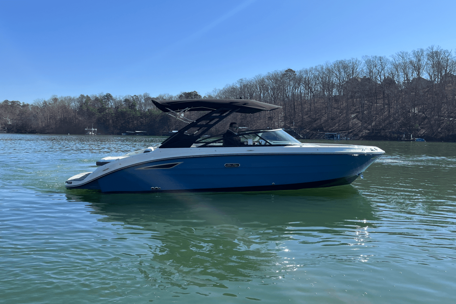 2025 Sea Ray 250 SDX Image Thumbnail #8