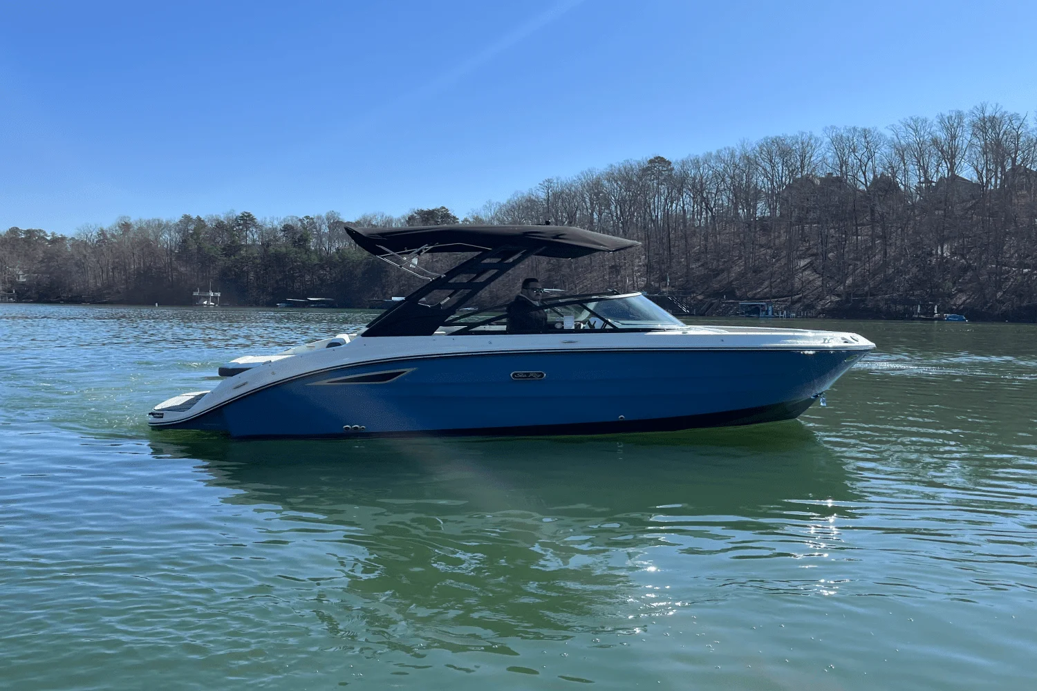 2025 Sea Ray 250 SDX Image Thumbnail #8