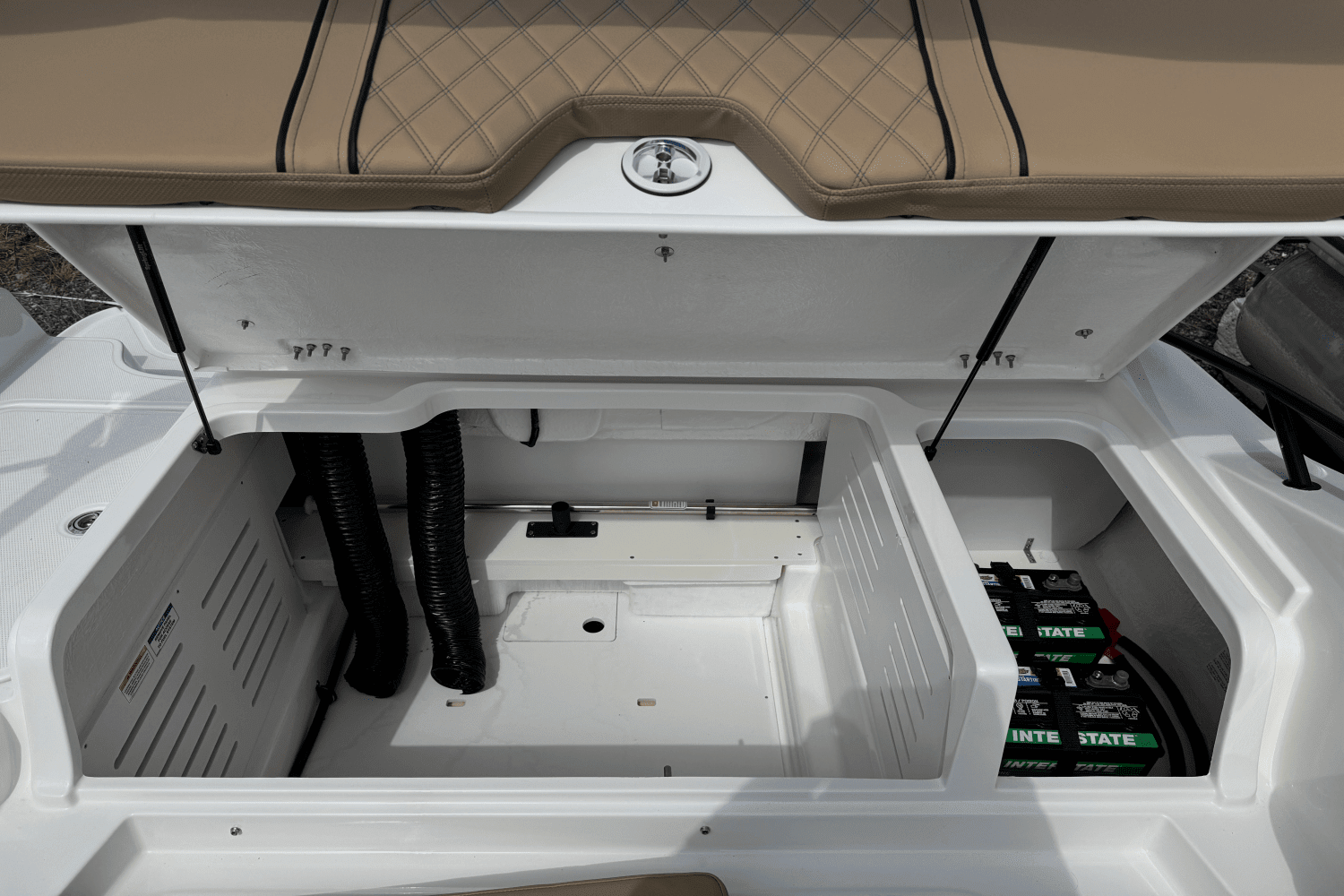 2025 Bayliner D20 Image Thumbnail #22