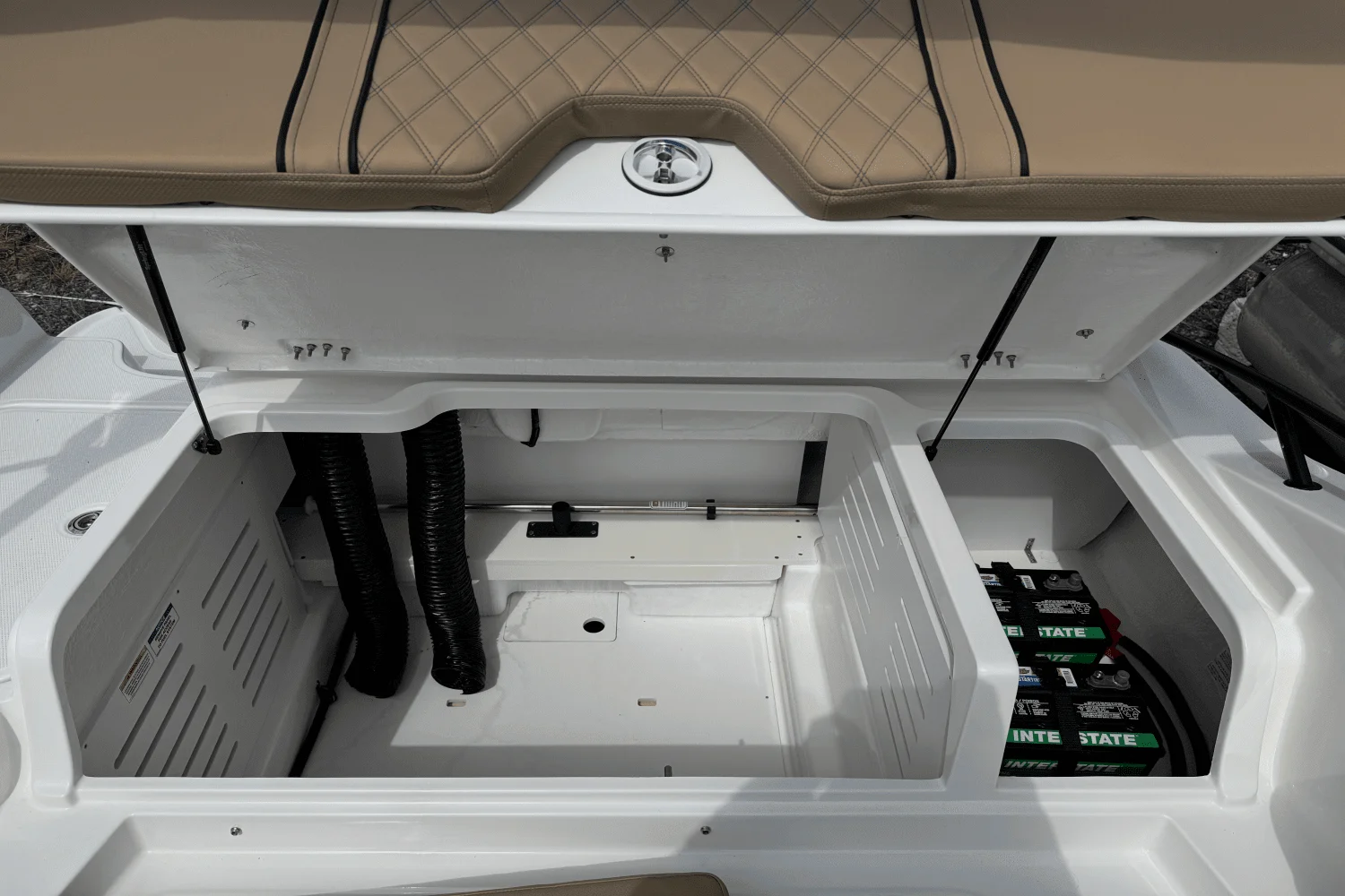 2025 Bayliner D20 Image Thumbnail #22