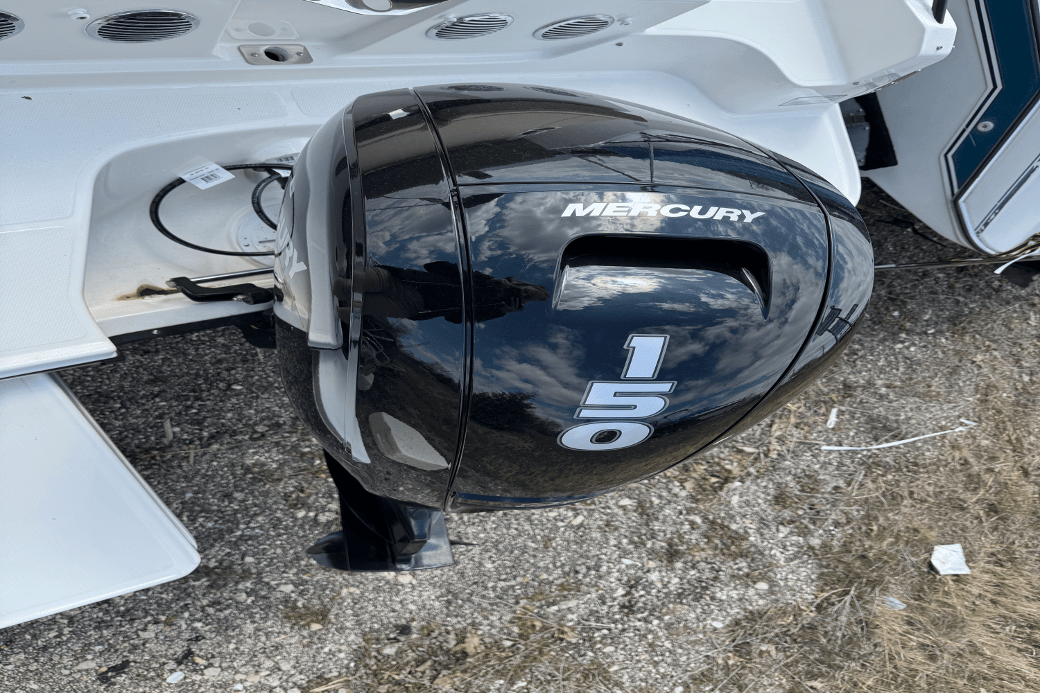 2025 Bayliner D20 Image Thumbnail #27