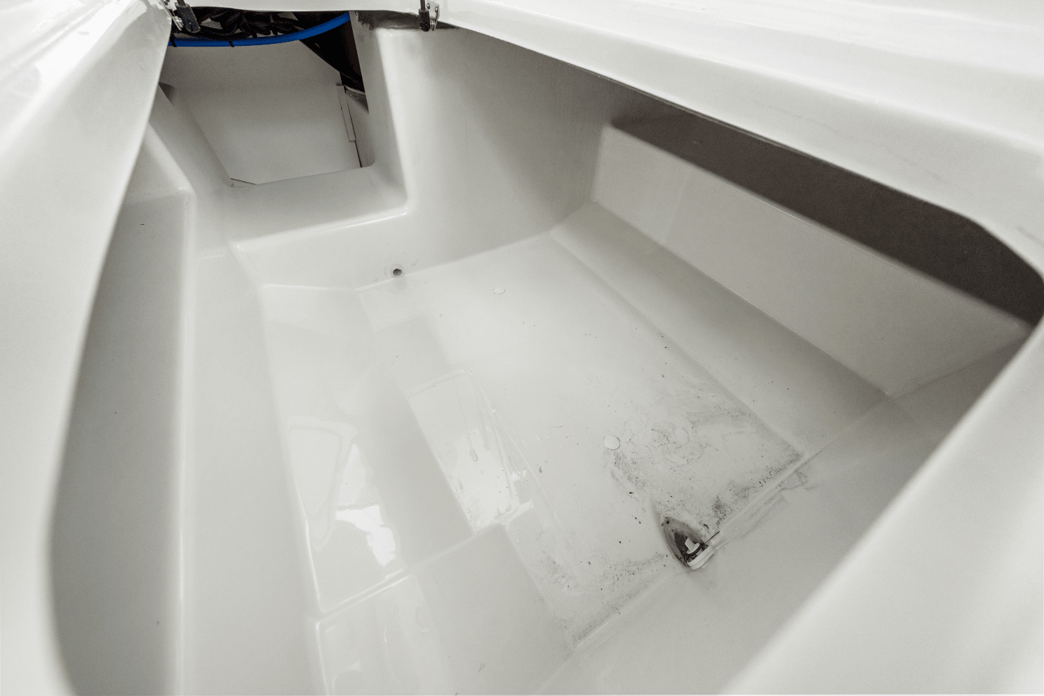 2025 Sea Ray SDX 250 Outboard Image Thumbnail #51