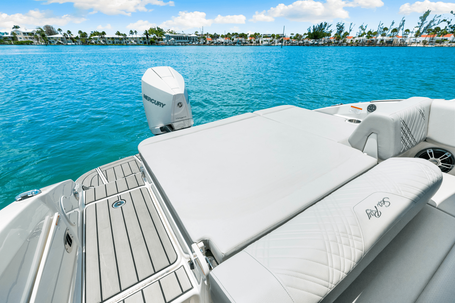 2025 Sea Ray SDX 250 Outboard Image Thumbnail #31