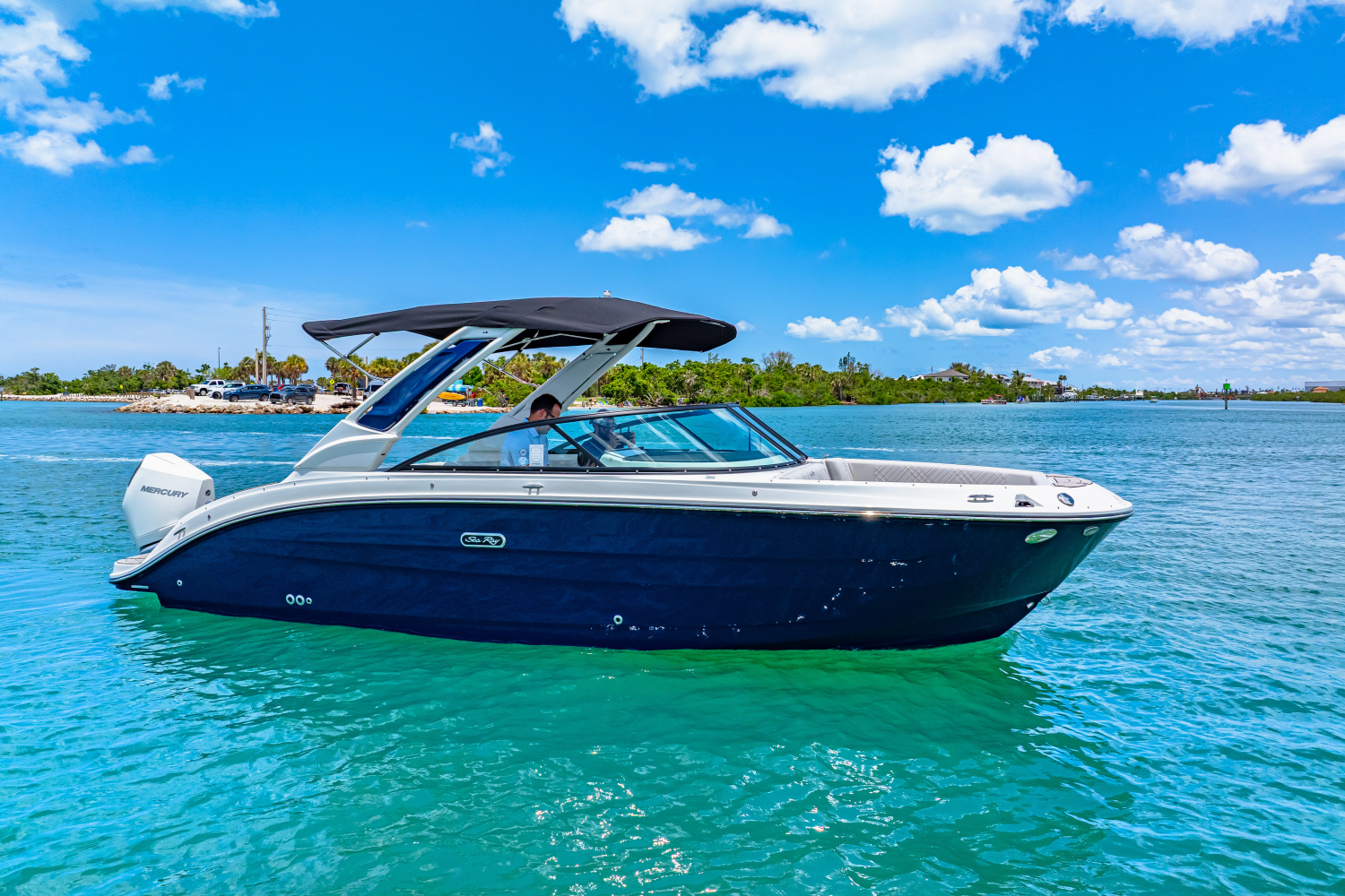 2025 Sea Ray SDX 250 Outboard Image Thumbnail #7