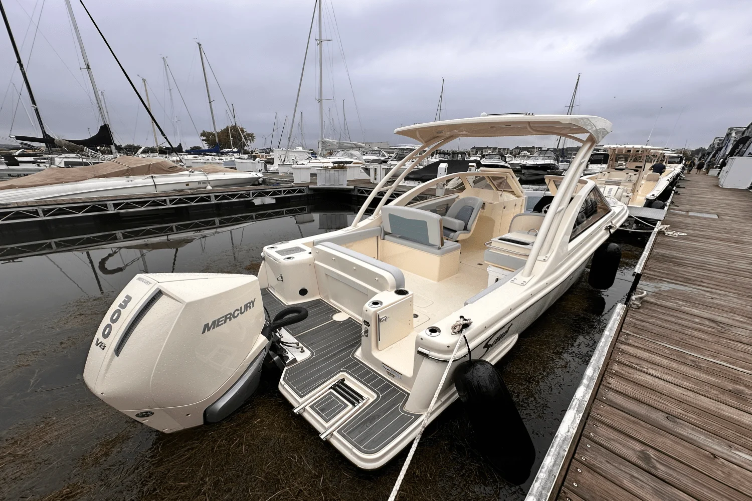 2025 Scout 240 Dorado Image Thumbnail #2