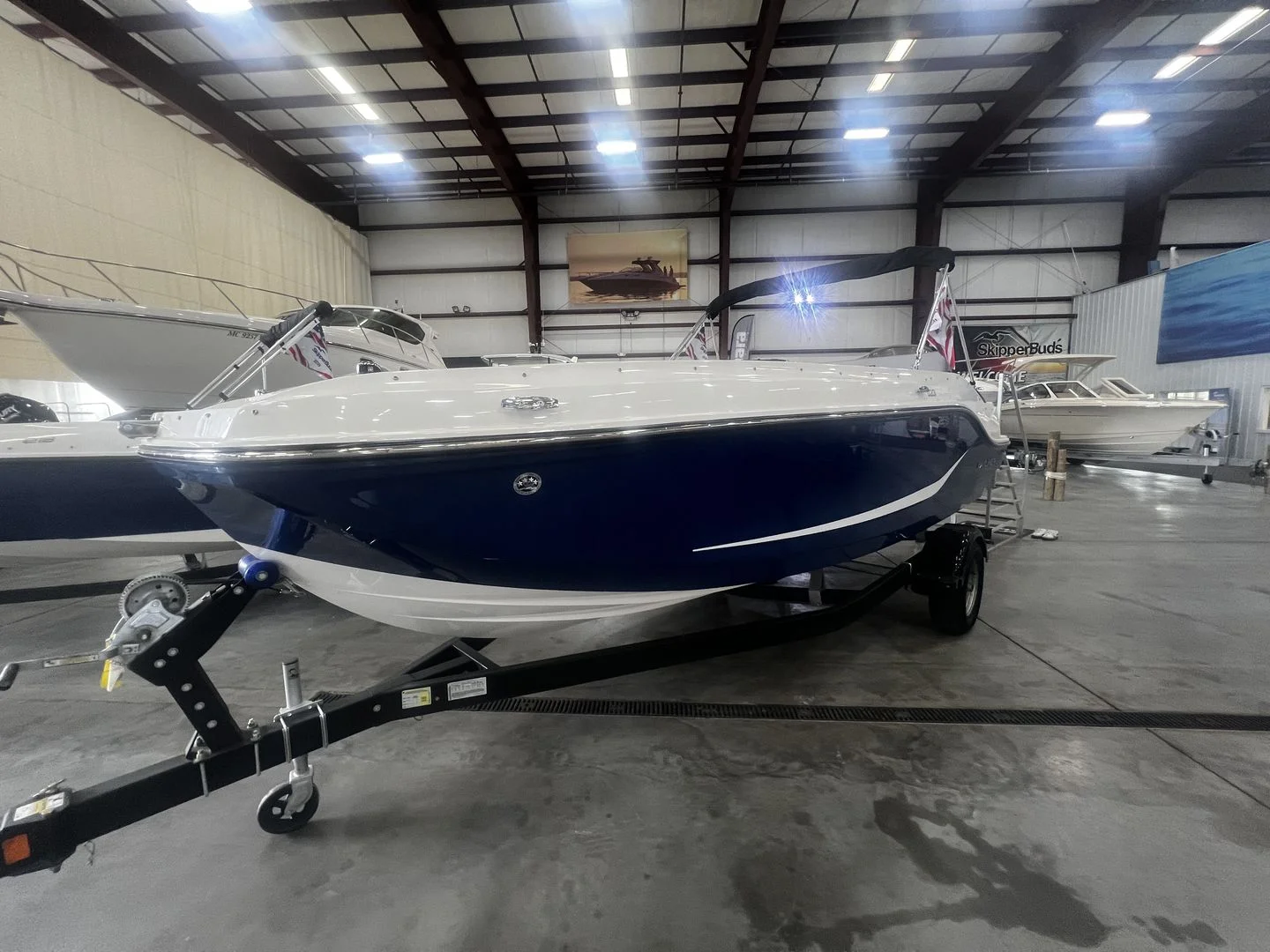 2025 Bayliner D20I Image Thumbnail #3