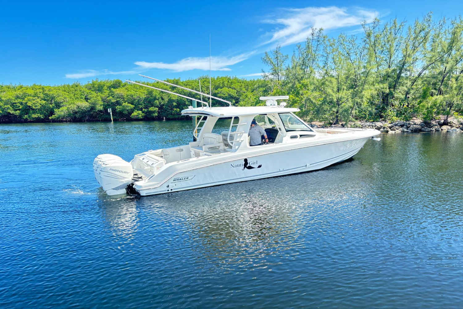 2019 Boston Whaler 350 Realm Image Thumbnail #9