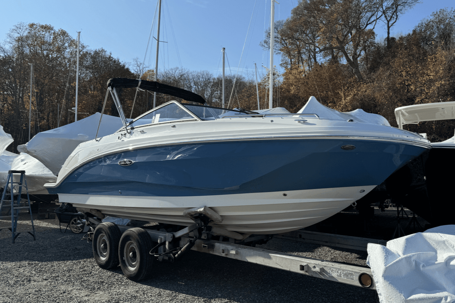 2025 Sea Ray SDX 250 Outboard Image Thumbnail #4