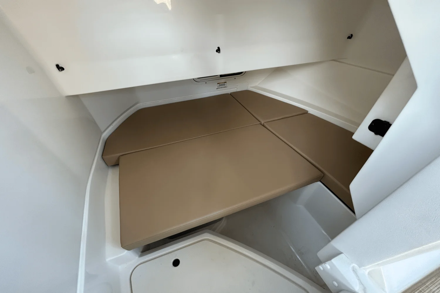 2025 Sea Ray SDX 250 Outboard Image Thumbnail #15