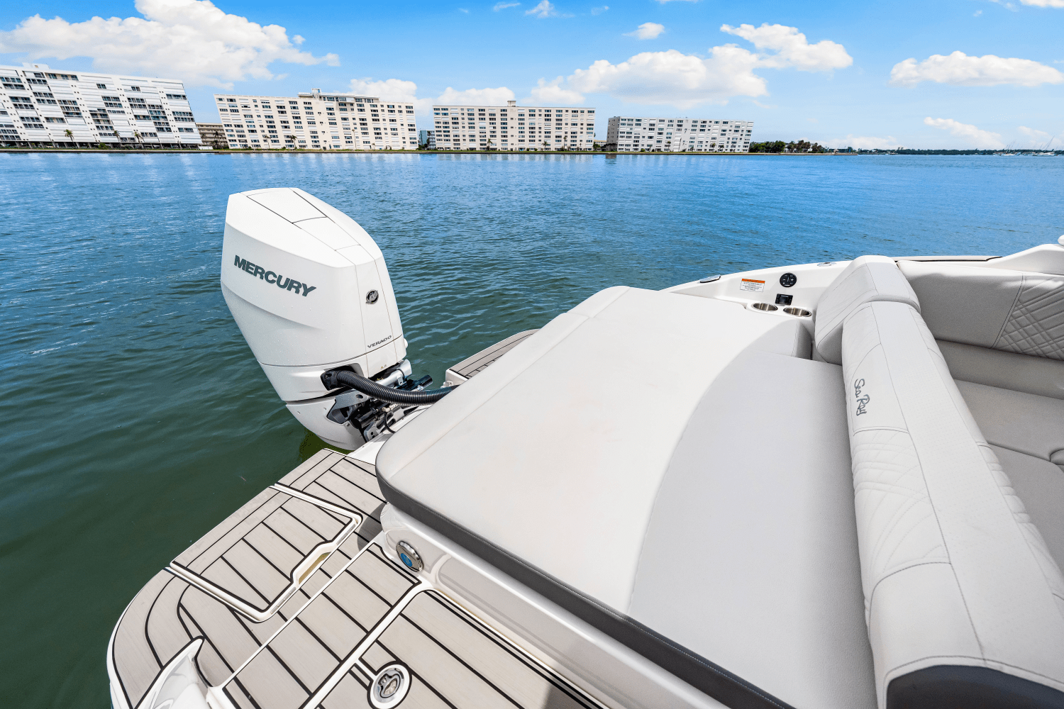 2025 Sea Ray SDX 270 Outboard Image Thumbnail #35