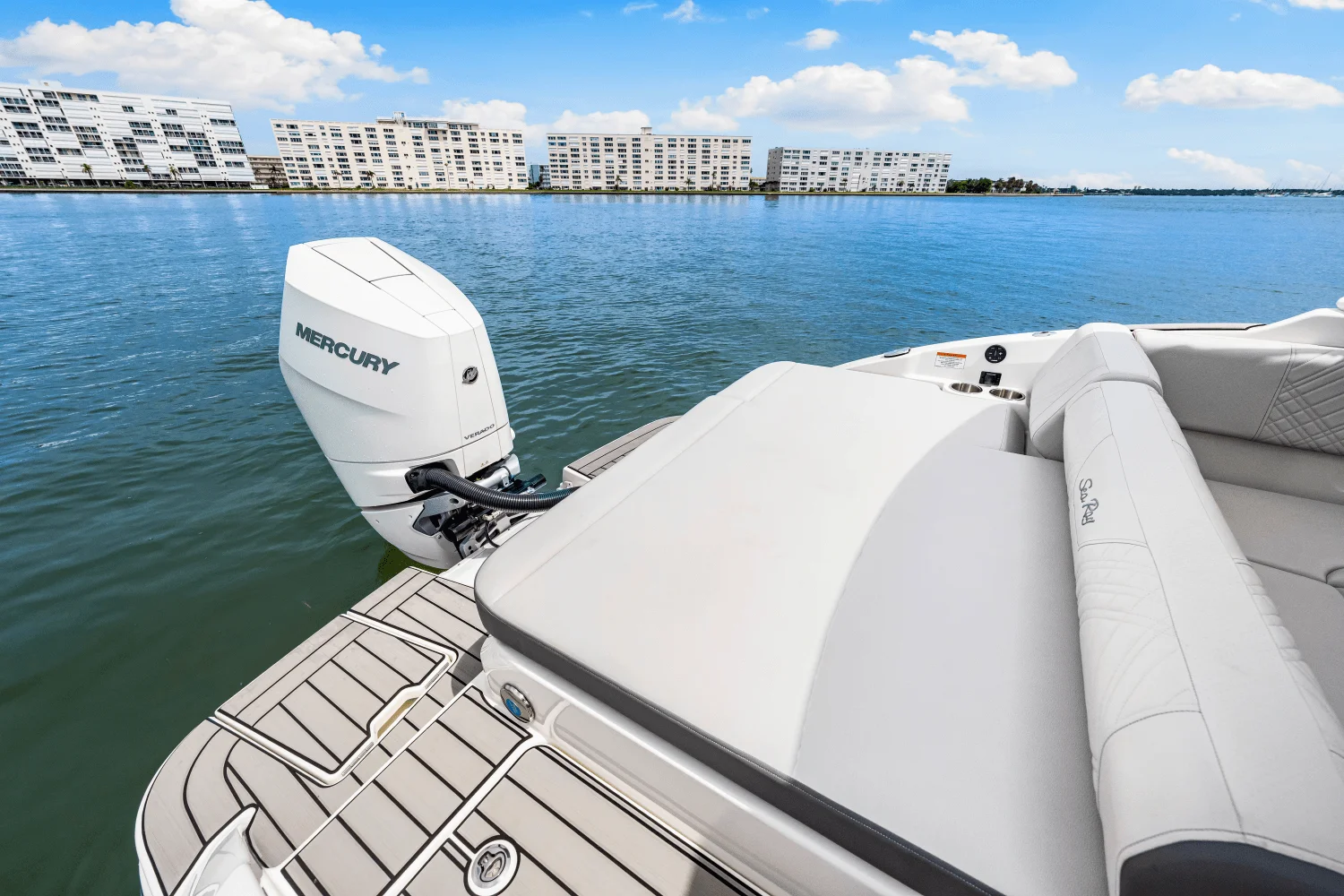 2025 Sea Ray SDX 270 Outboard Image Thumbnail #35