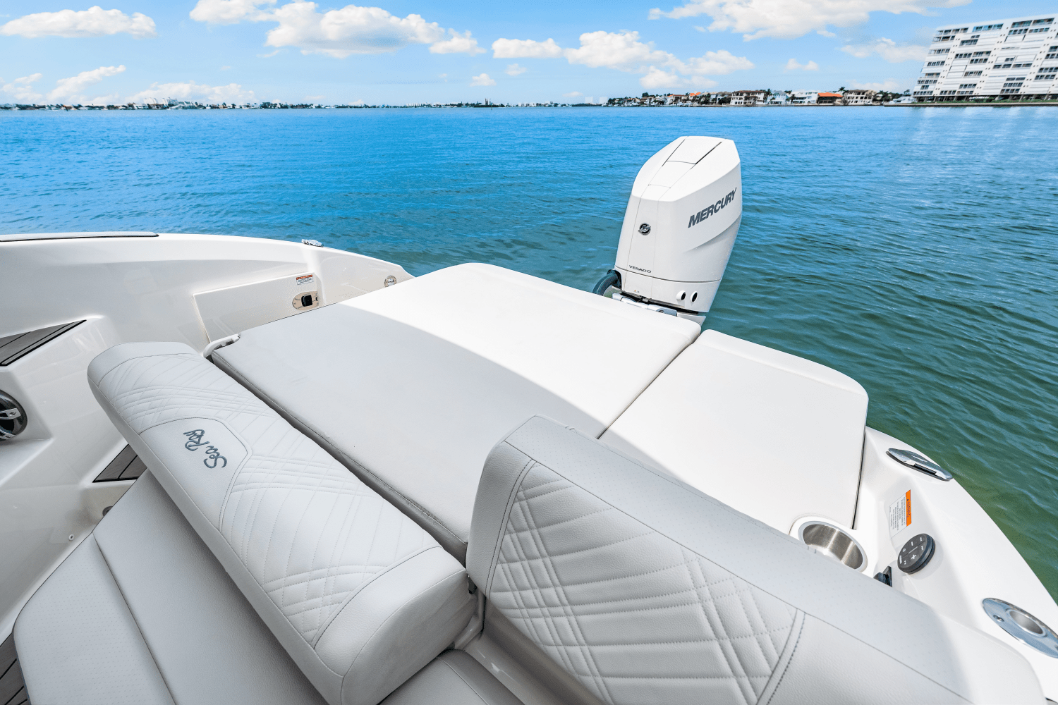 2025 Sea Ray SDX 270 Outboard Image Thumbnail #36