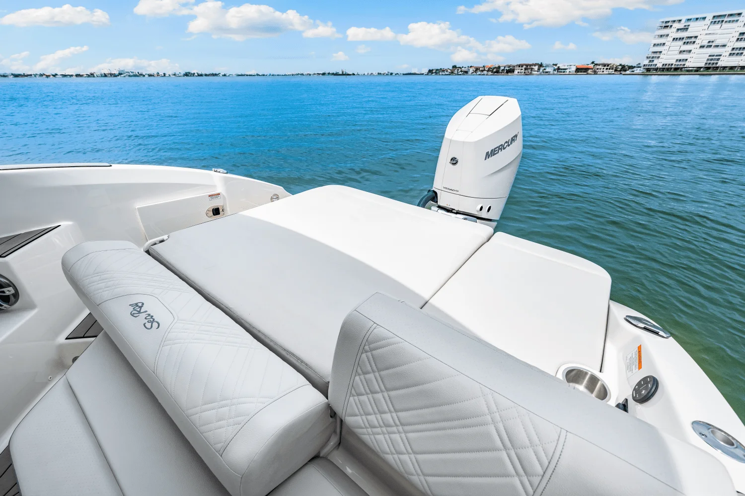 2025 Sea Ray SDX 270 Outboard Image Thumbnail #36