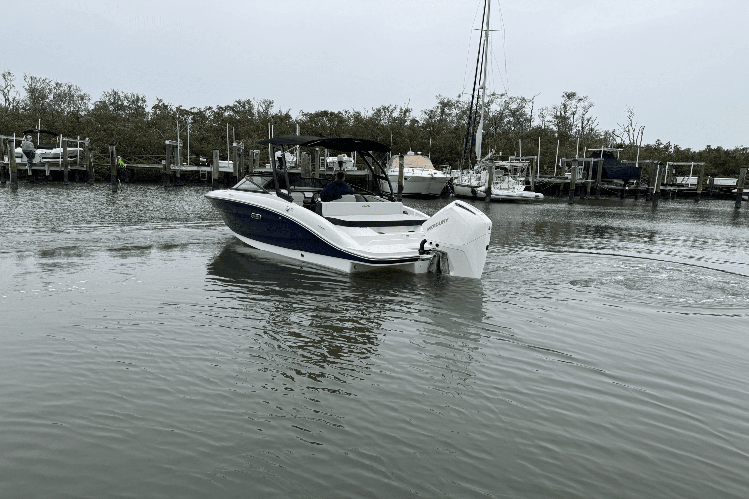 2025 Sea Ray SPX 210 Outboard Image Thumbnail #5