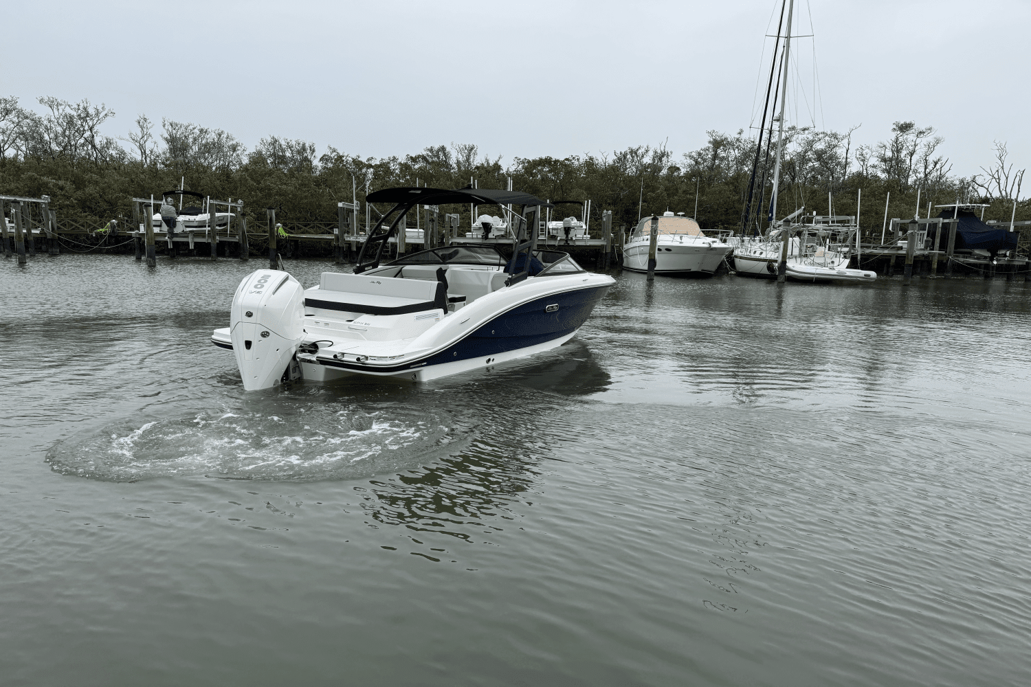 2025 Sea Ray SPX 210 Outboard Image Thumbnail #11