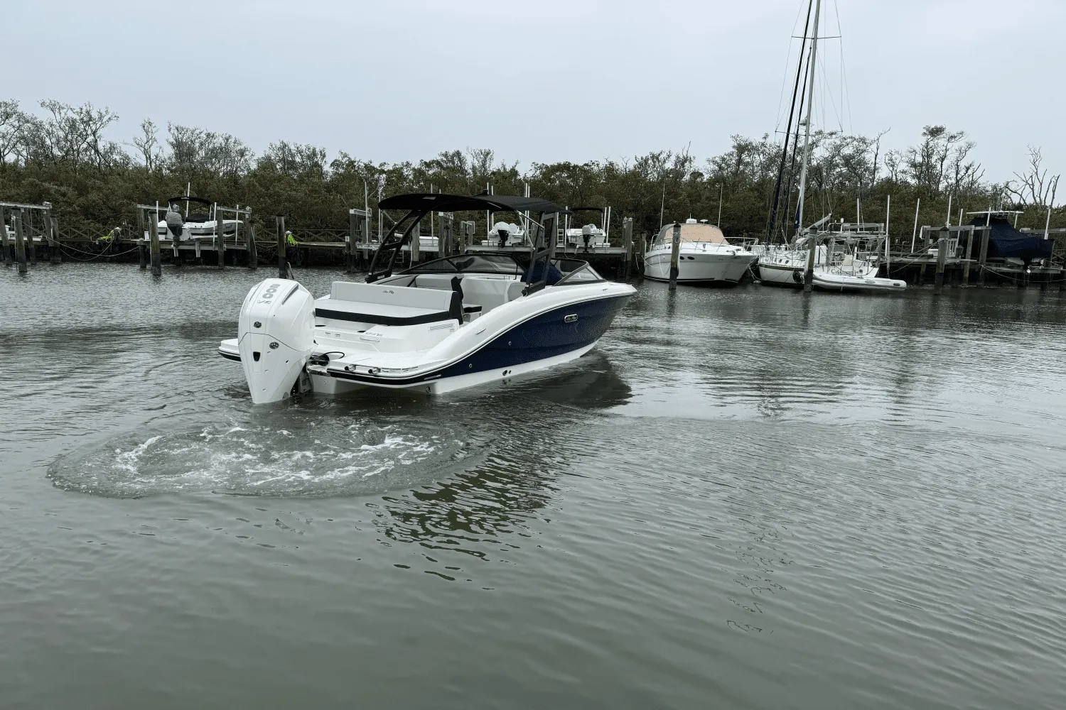 2025 Sea Ray SPX 210 Outboard Image Thumbnail #11