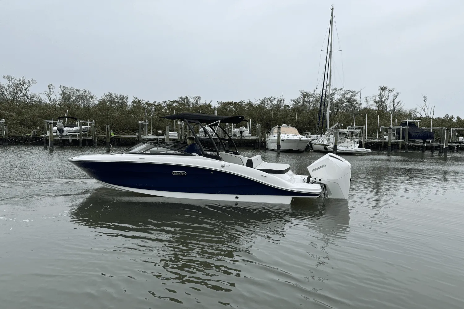 2025 Sea Ray SPX 210 Outboard Image Thumbnail #4