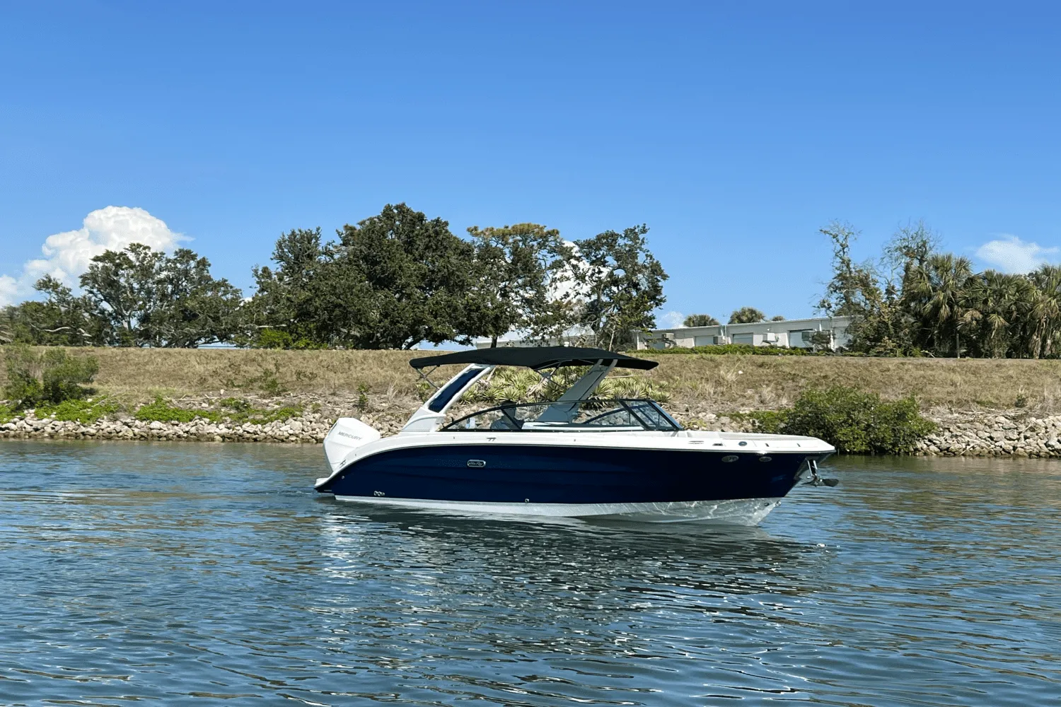 2025 Sea Ray SDX 270 Outboard Image Thumbnail #8