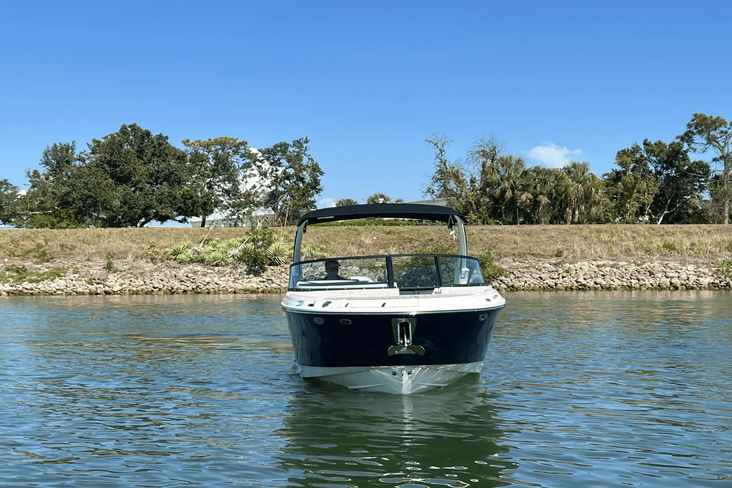 2025 Sea Ray SDX 270 Outboard Image Thumbnail #10