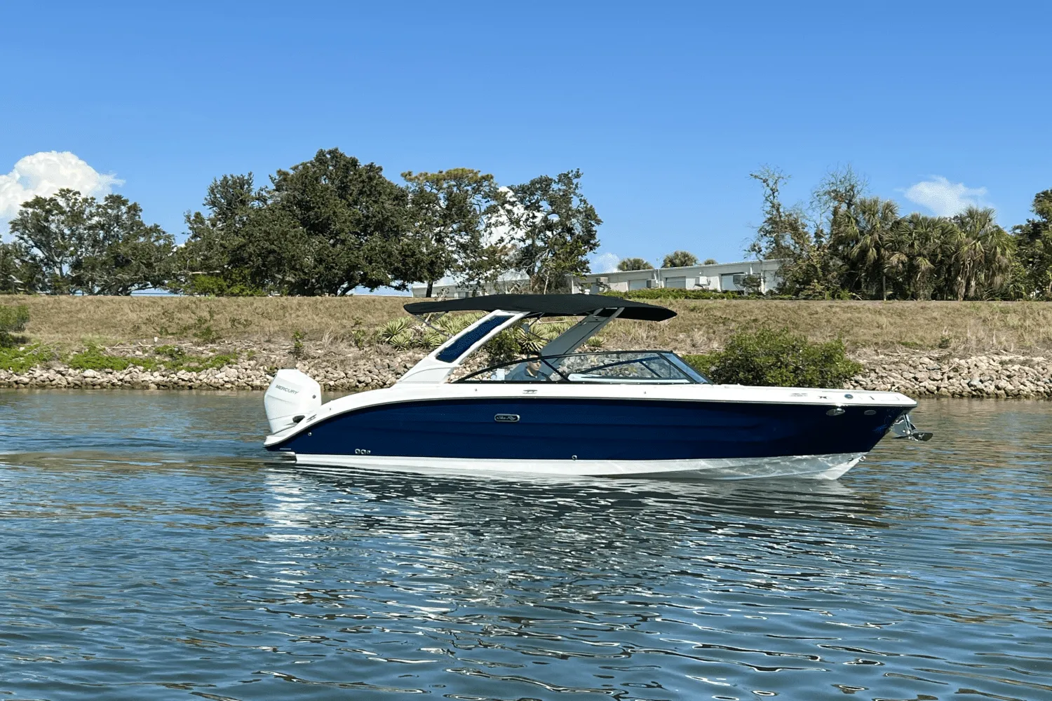 2025 Sea Ray SDX 270 Outboard Image Thumbnail #5