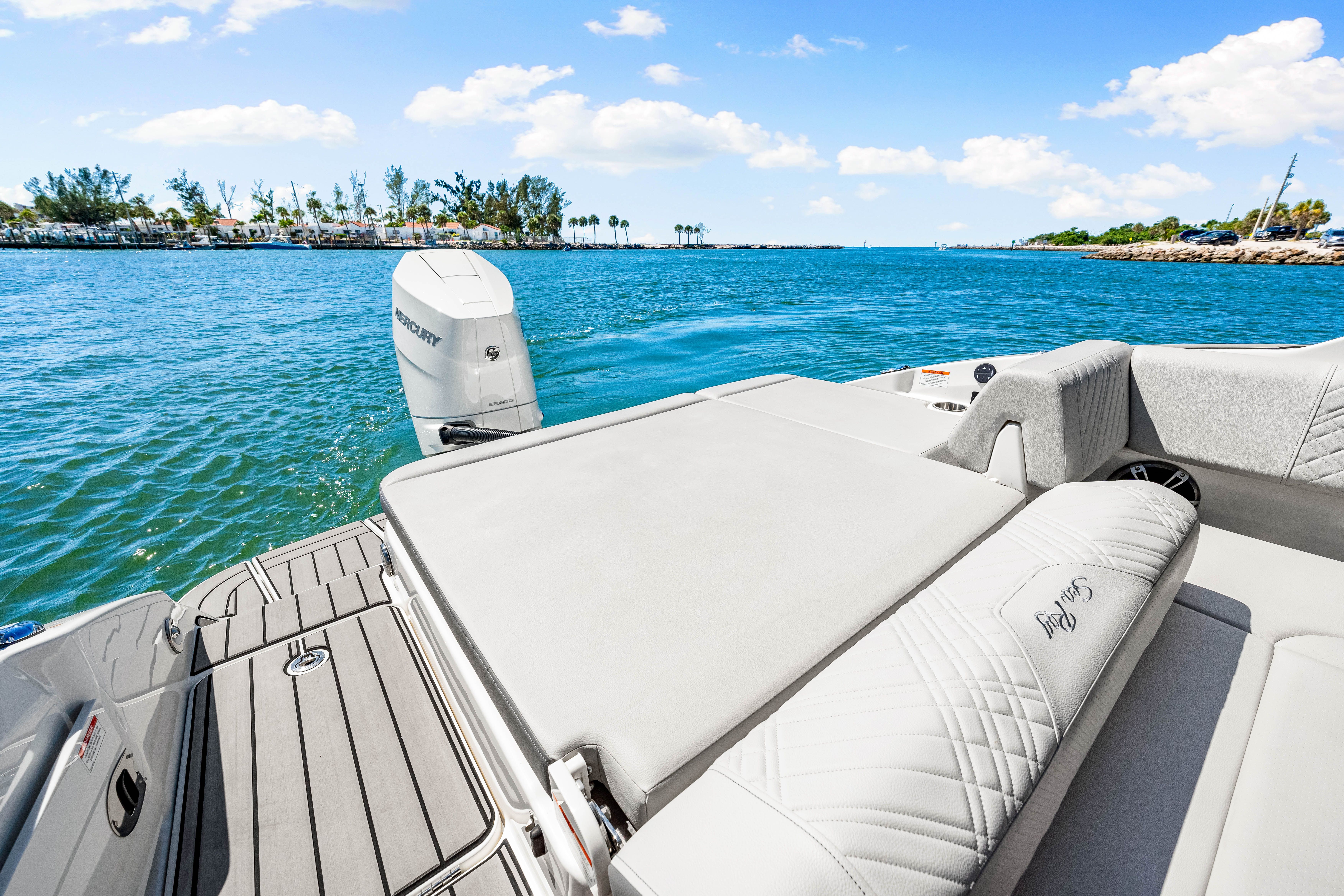 2025 Sea Ray SDX 270 Outboard Image Thumbnail #25