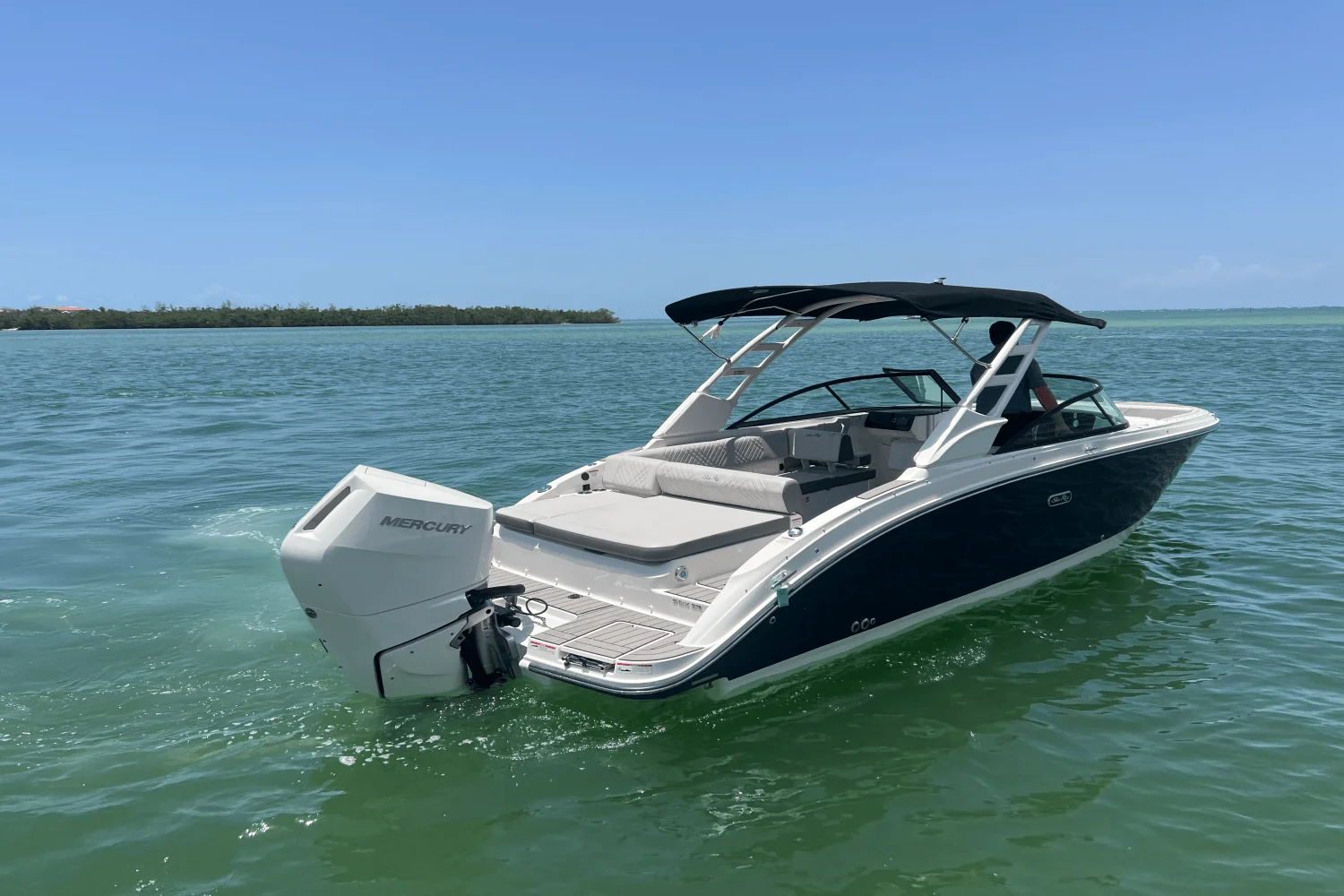 2025 Sea Ray SDX 270 Outboard Image Thumbnail #4